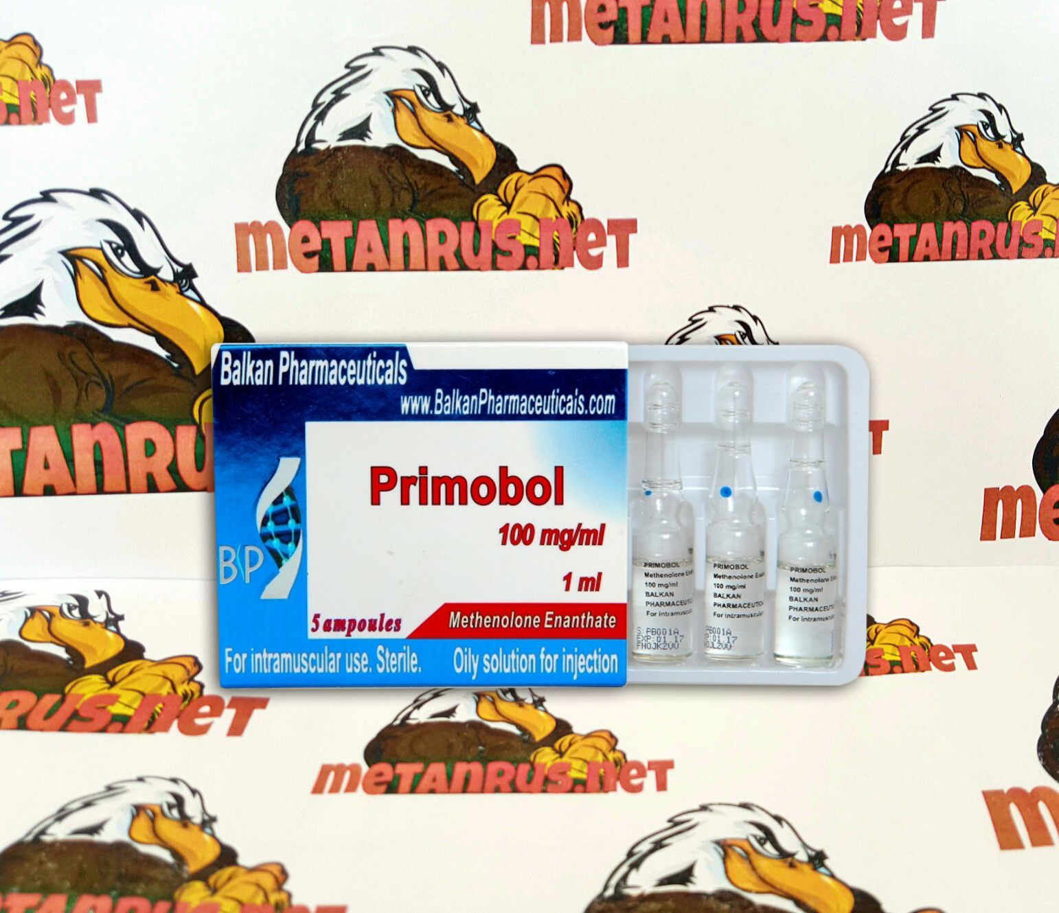 Primorox Primobolan